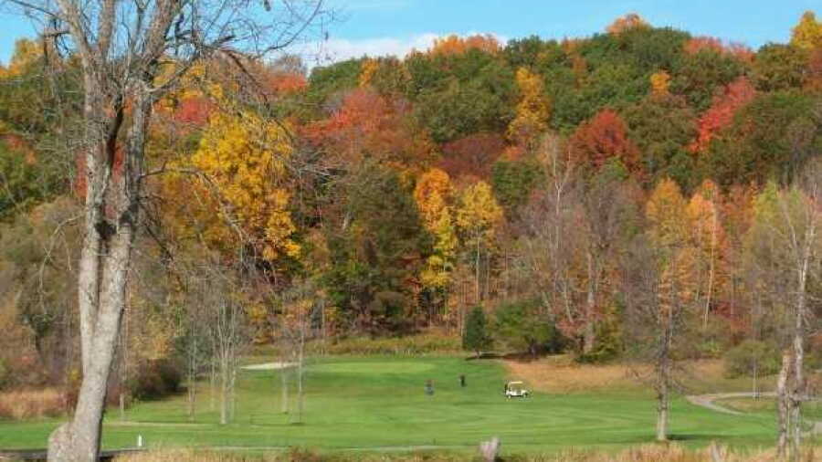 Wild Wood CC: #16