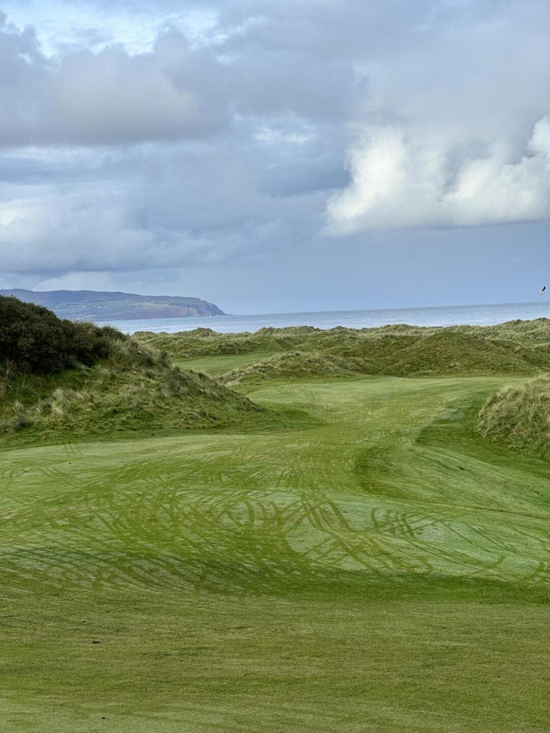 (Photo submitted by PatrickYNWA20 on 11/04/2023)