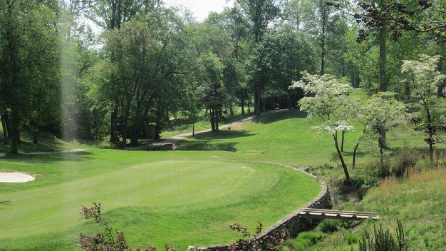Chestnut Mountain GC: #8