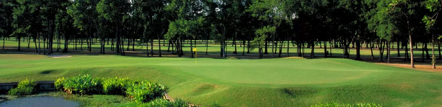 BlackHorse GC - South: #5