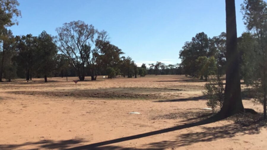 Baradine GC