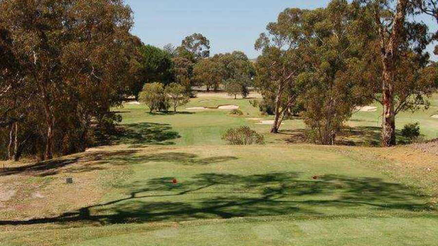 Tea Tree Gully