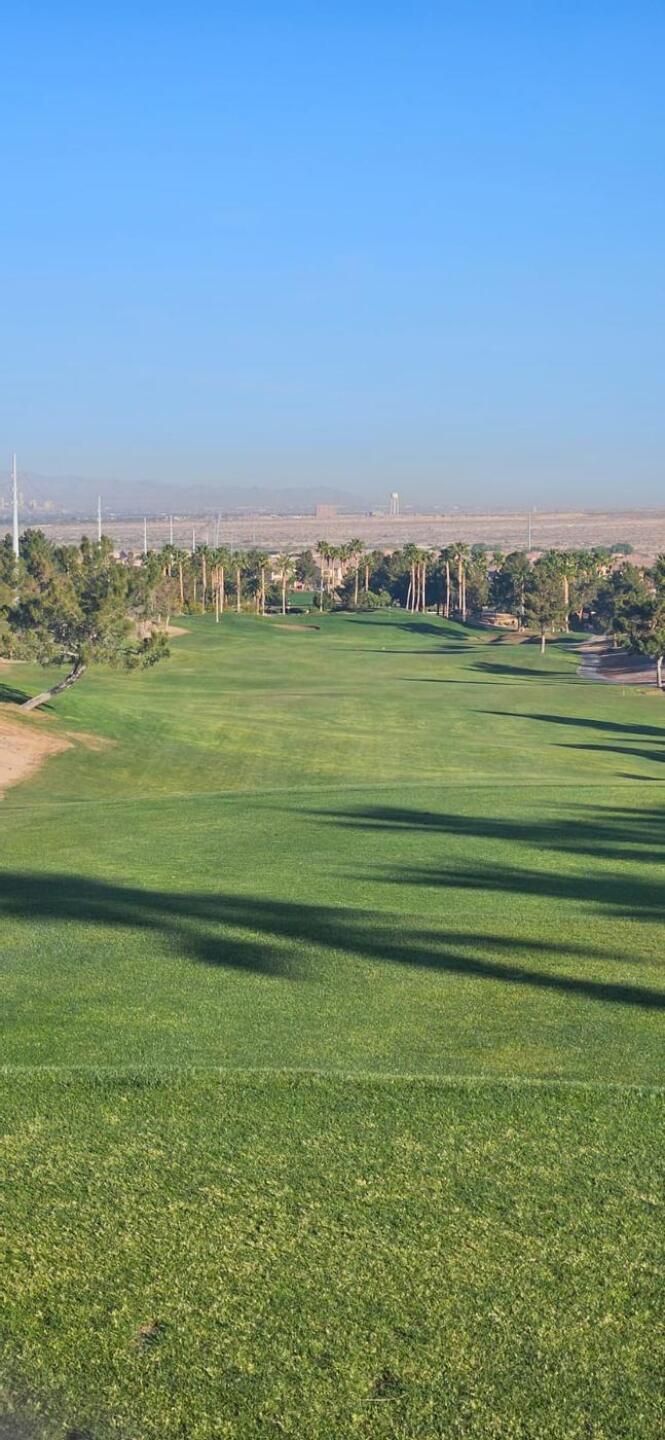 (Photo submitted by ixgZmt8qLz9NU0bwTDvG on 04/13/2024)