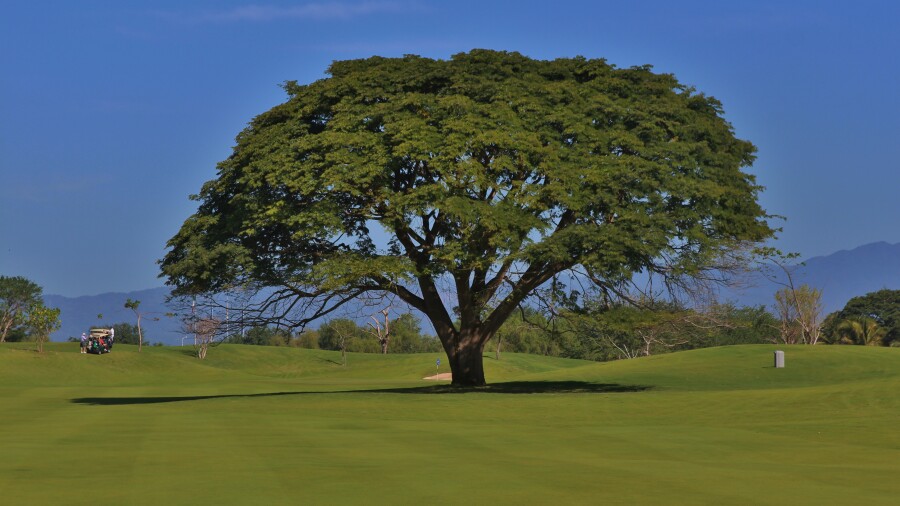 Vidanta Nuevo Vallarta - Greg Norman Signature golf course - 6