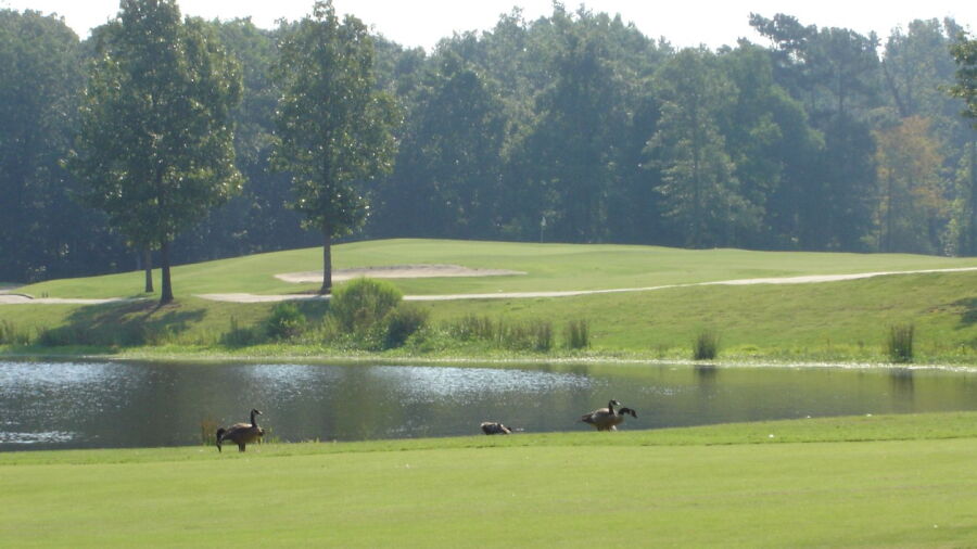 CC of Arkansas
