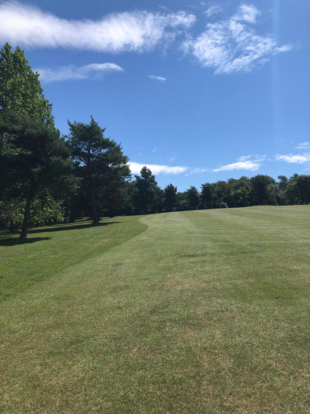 (Photo submitted by fergalfavier on 07/13/2020)