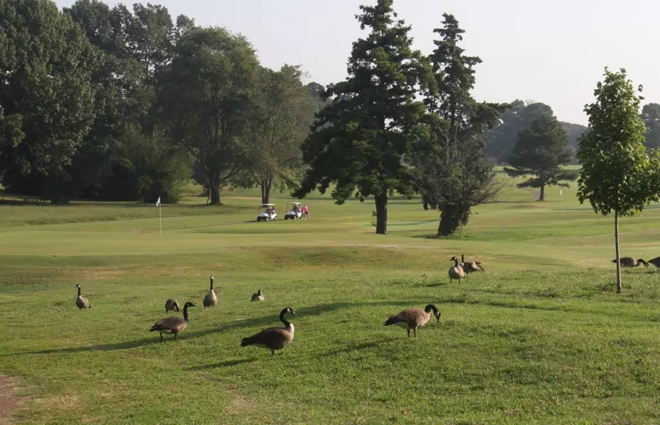 The Links at Audubon