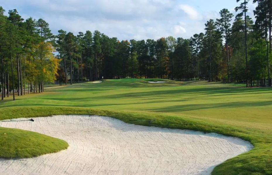 Stoney Creek GC: #18