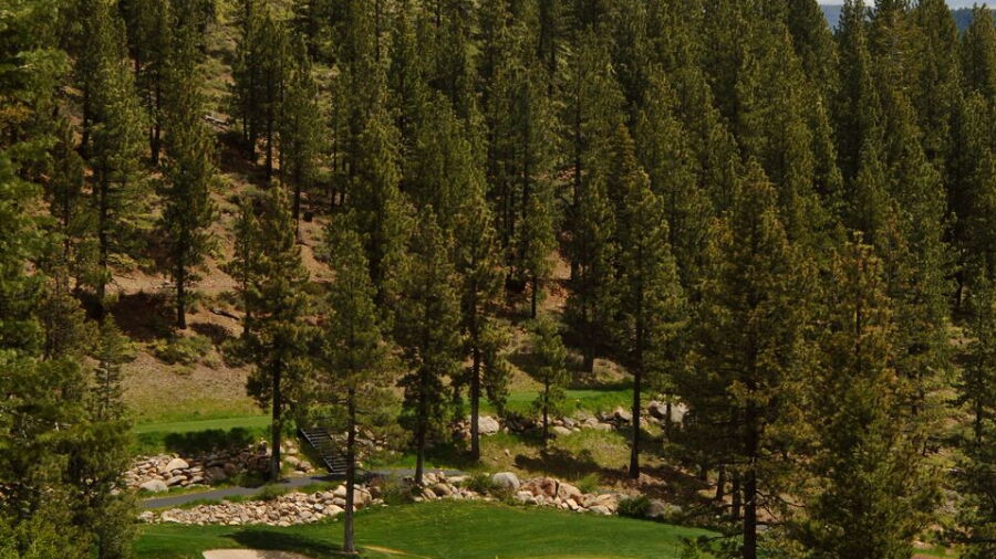 Coyote Moon GC: #13
