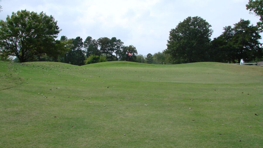 Wright Park GC: #7