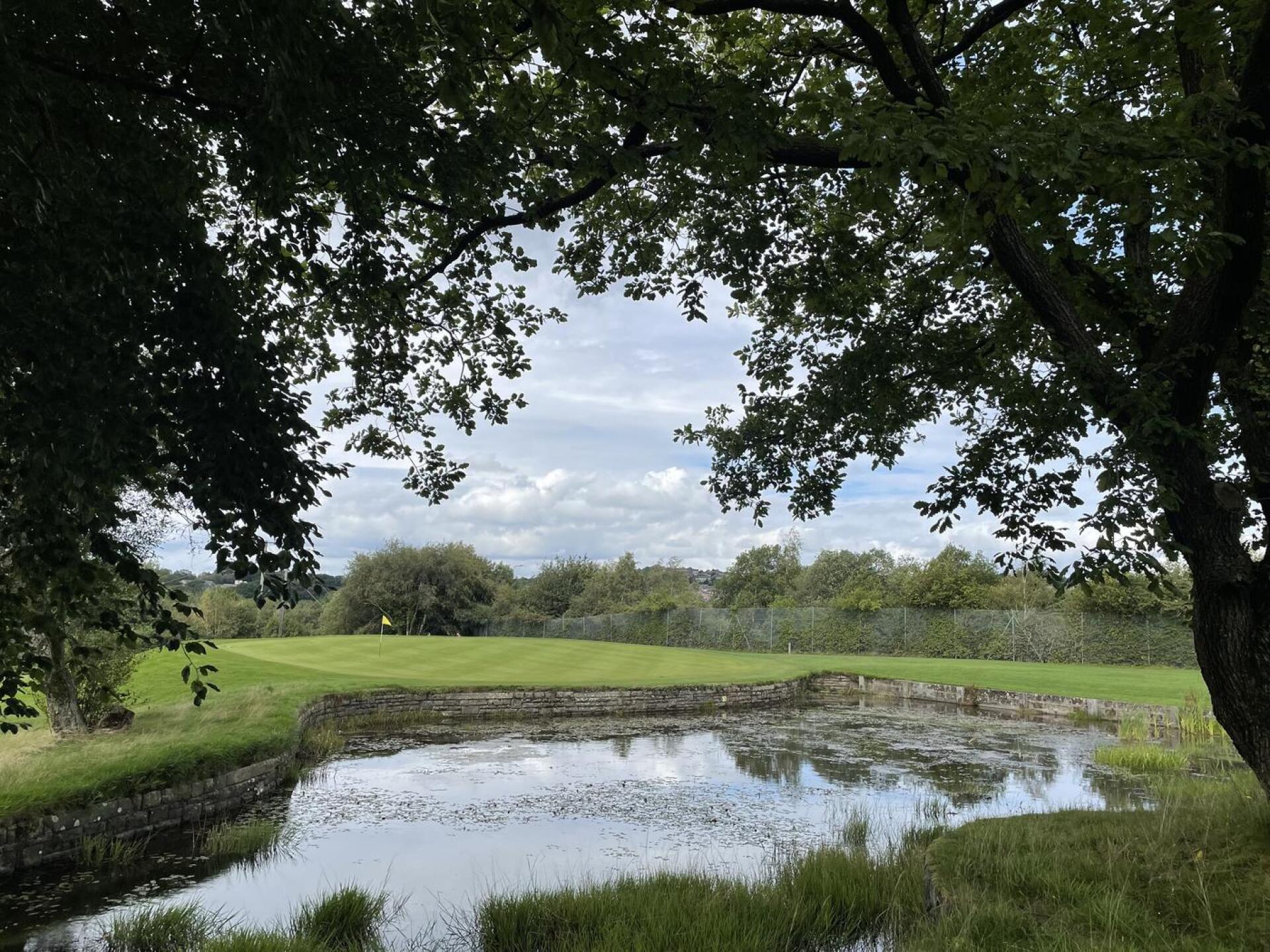 (Photo submitted by 9NgiekSfKcZQHJNwOkP9 on 08/26/2023)