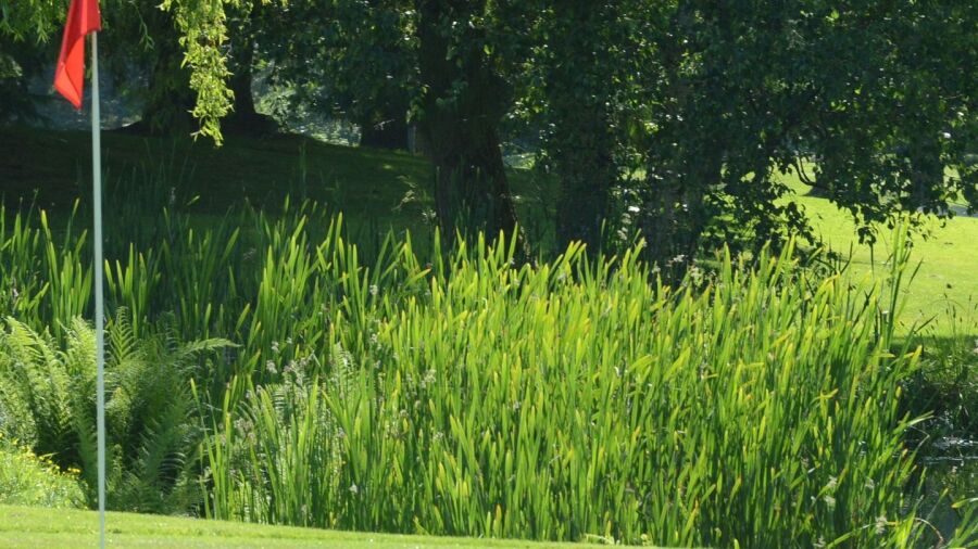 Ledgeview GCC