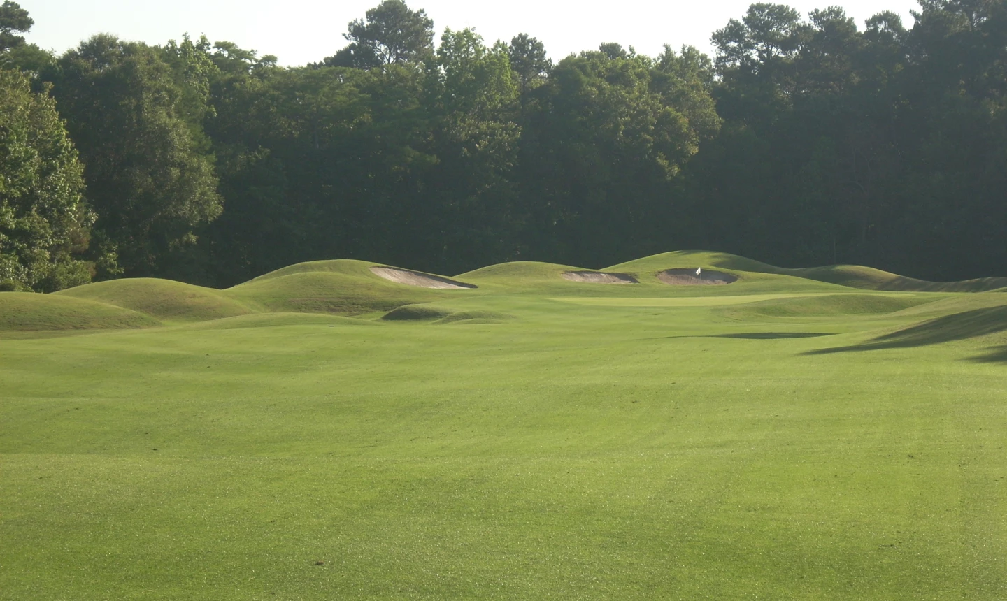 Avocet Course at Wild Wing Golf Plantation - hole 1
