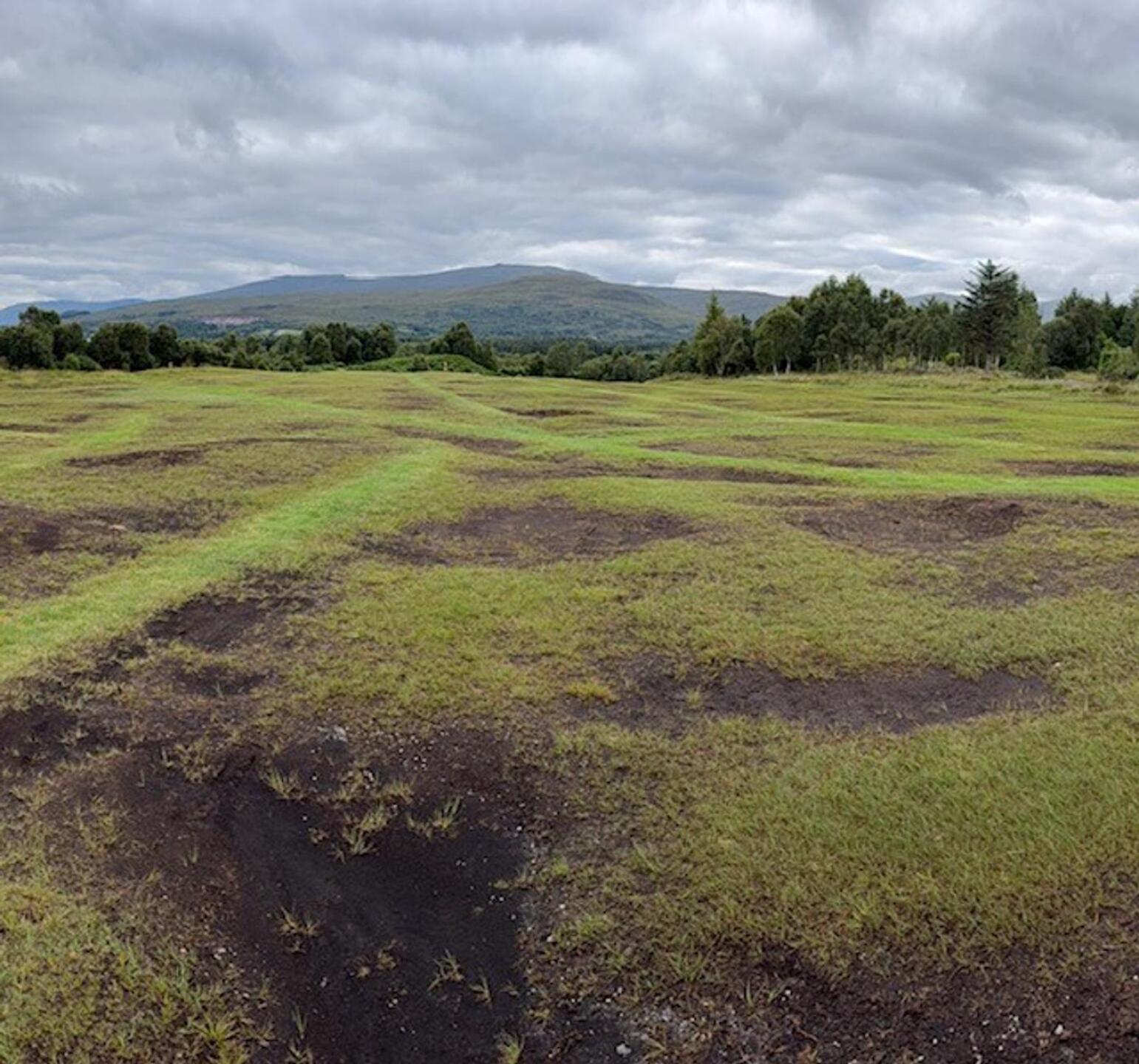 (Photo submitted by TonyFour on 08/10/2025)