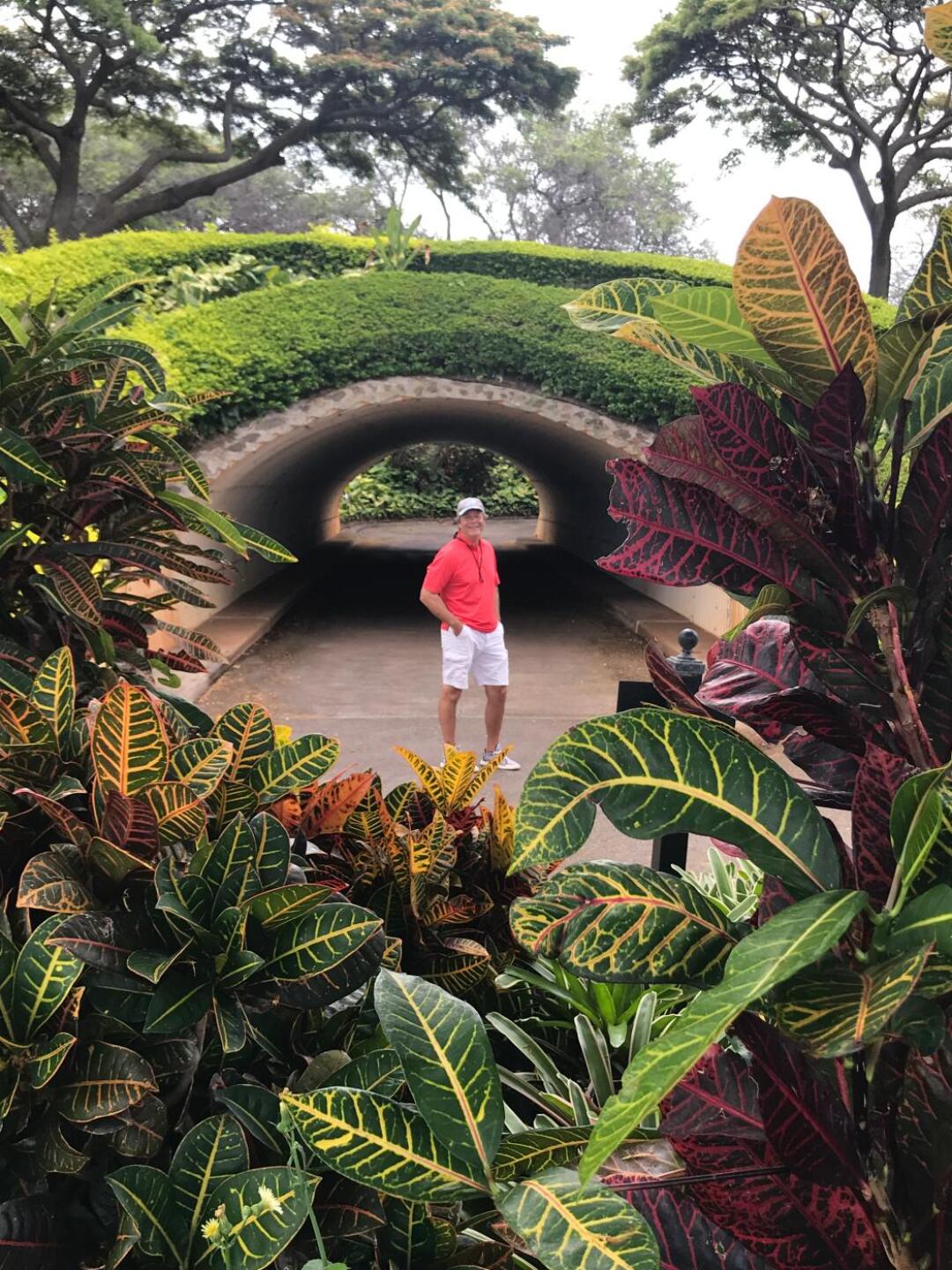 (Photo submitted by Pamahlin on 10/15/2019)