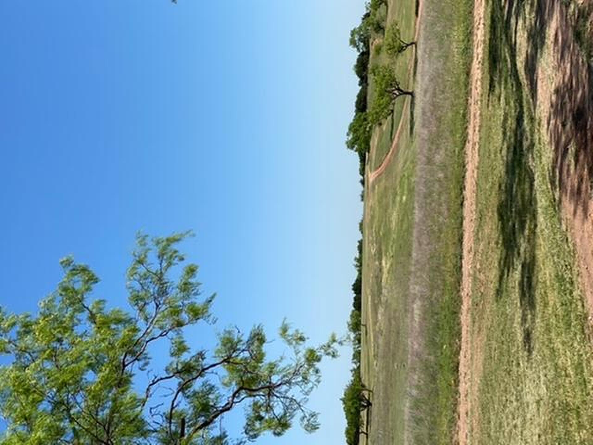 (Photo submitted by Viper99 on 05/17/2020)