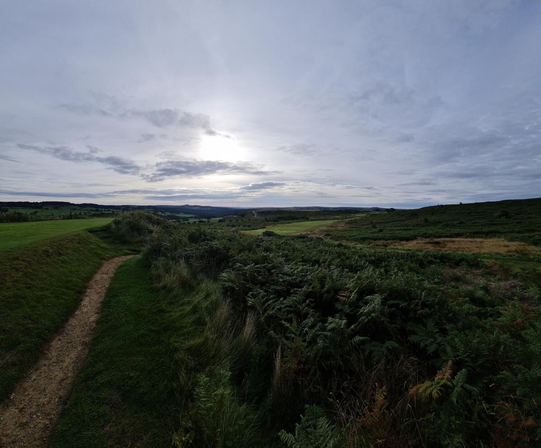 (Photo submitted by u314162179757 on 09/20/2021)