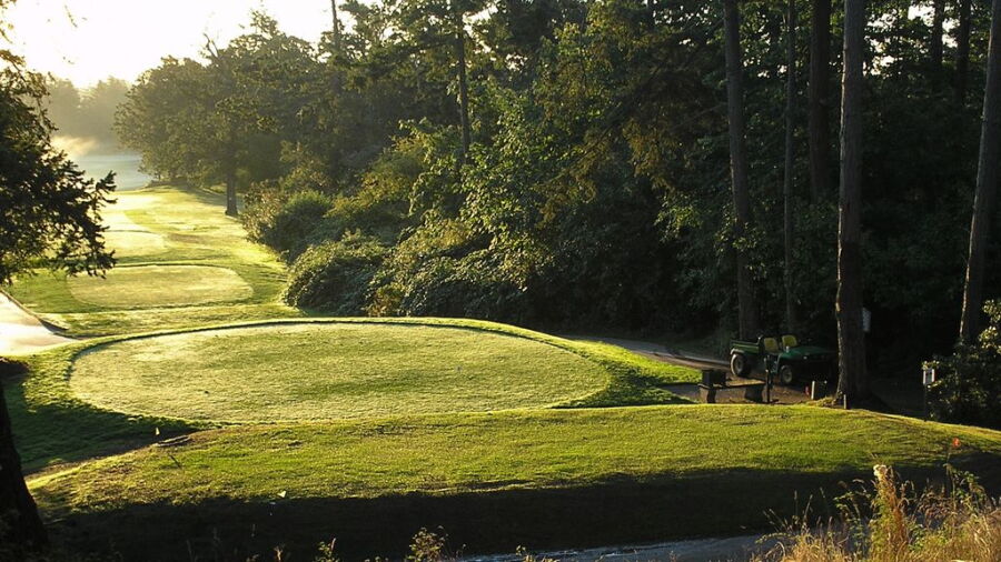 Gorge Vale GC