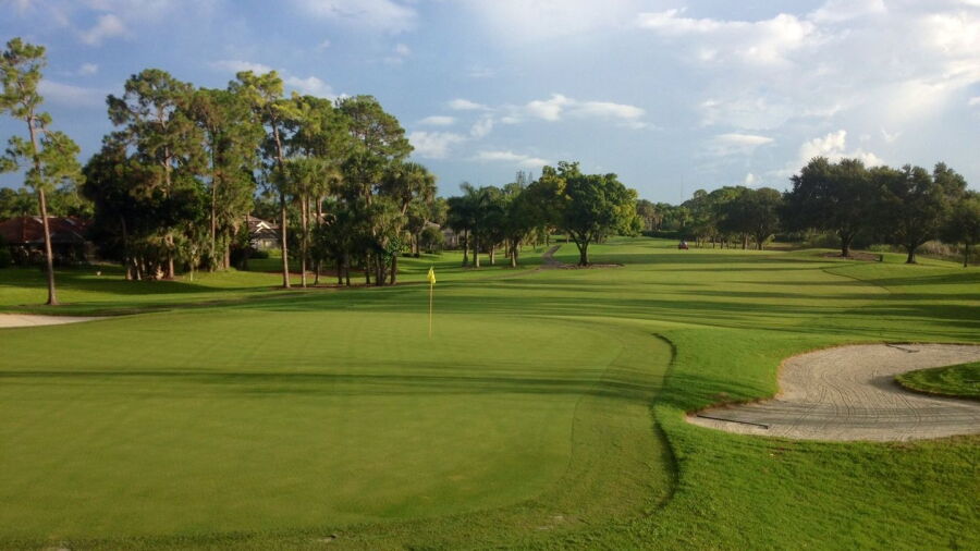 Royal Palm CC: #5