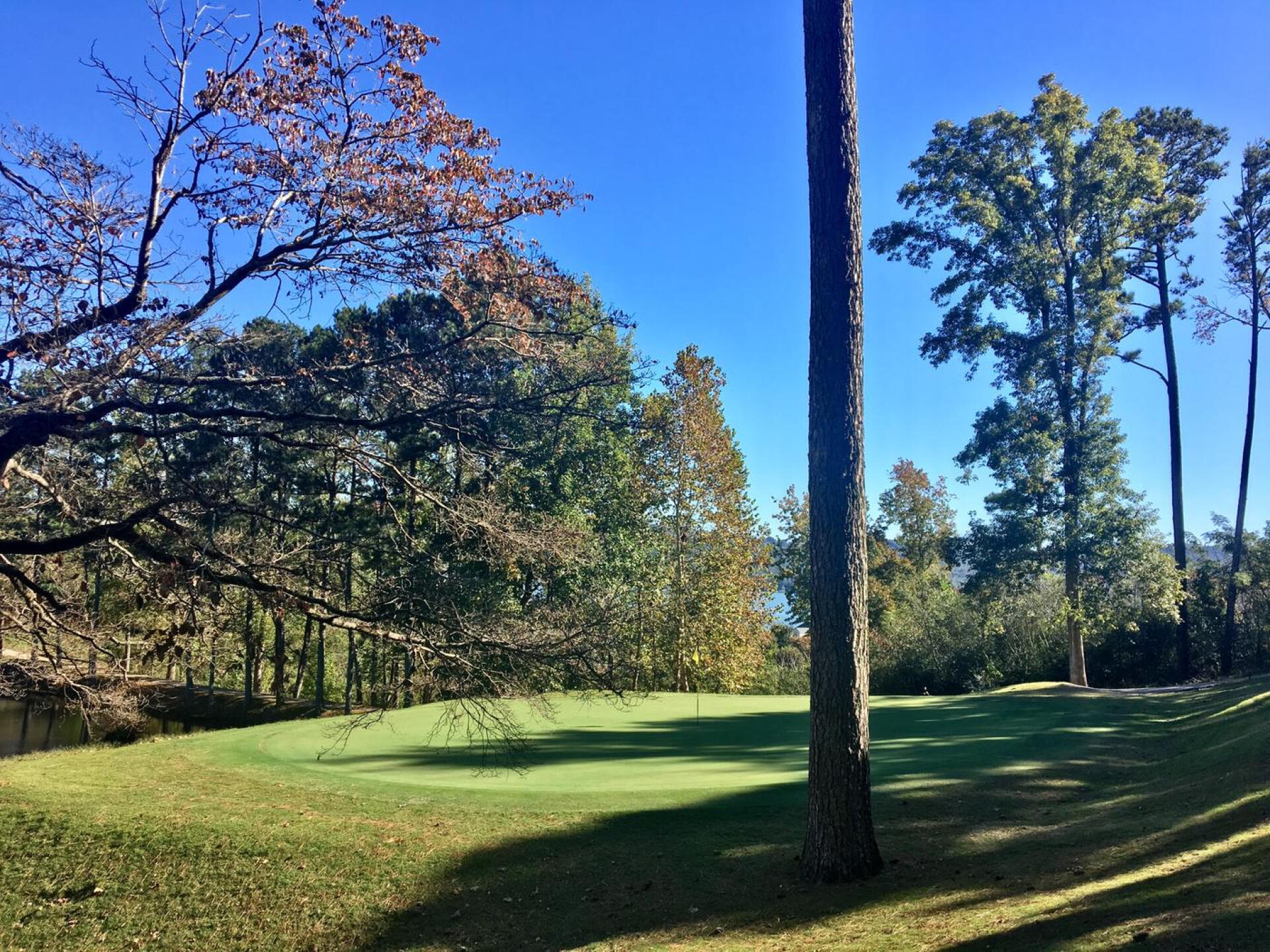 Par-3, fifth green (Photo submitted by BrandonWebb on 10/26/2017)