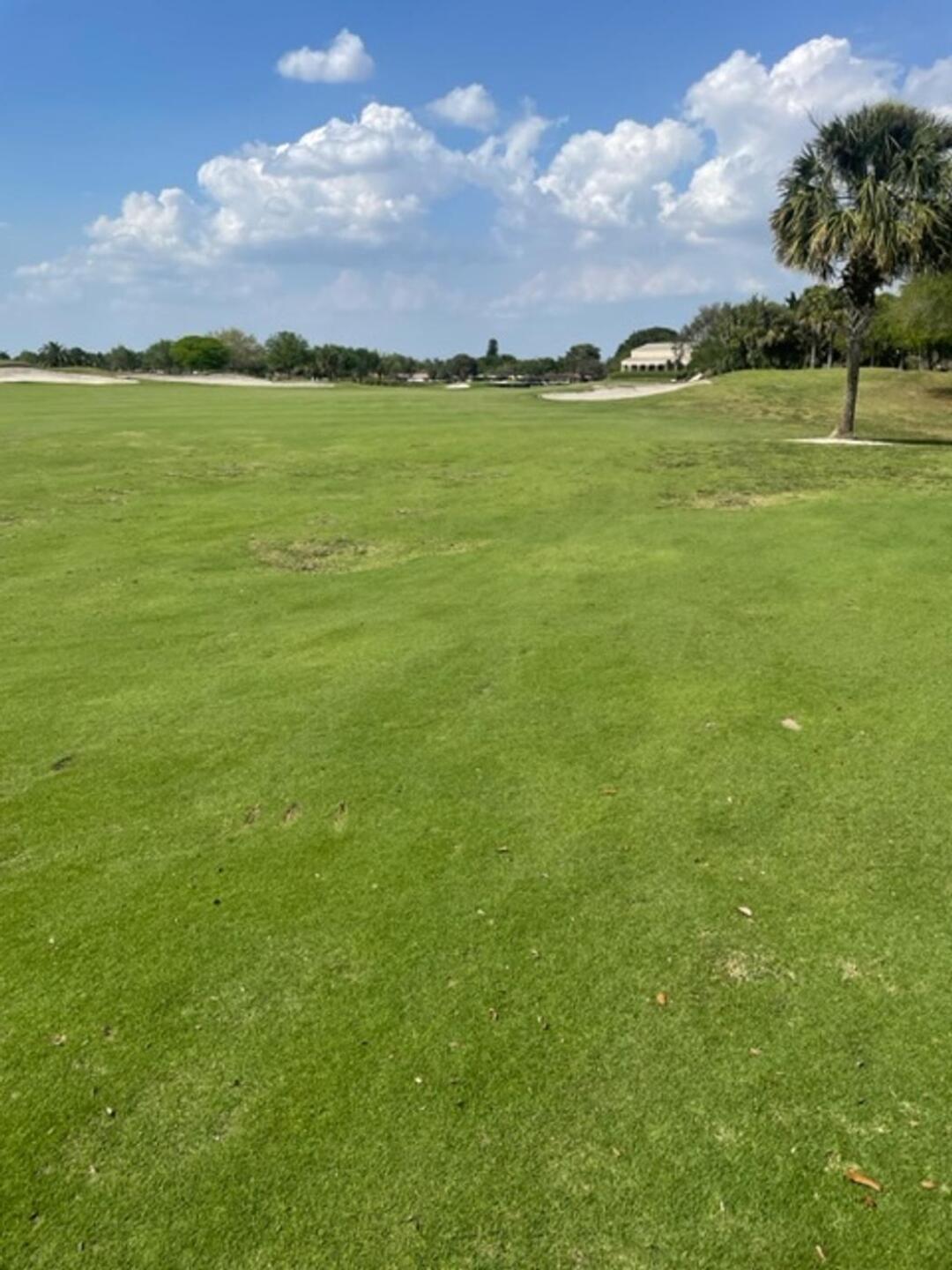 (Photo submitted by u079326129 on 03/07/2023)