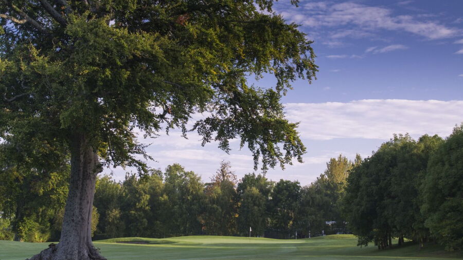 Grange Castle GC: #18