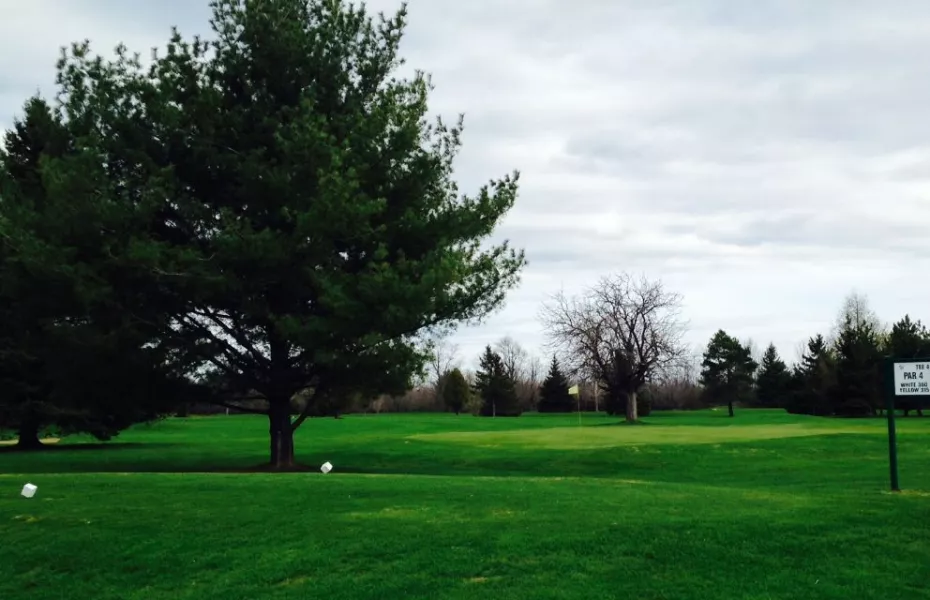 Sheffield Greens GC: #1