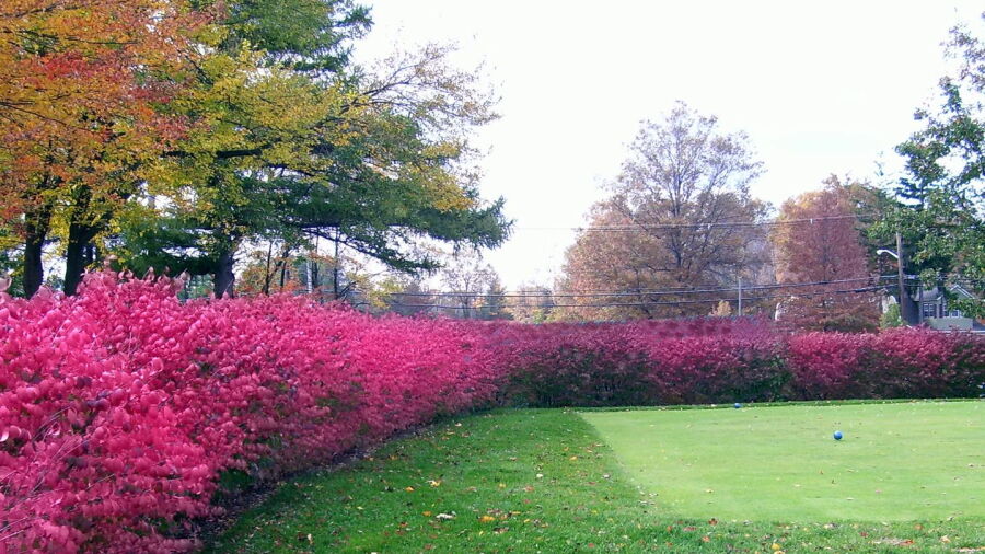 Apple Ridge CC