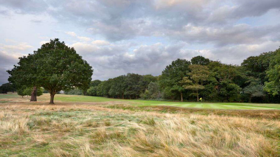 Richmond Park GC - Prince's: #4