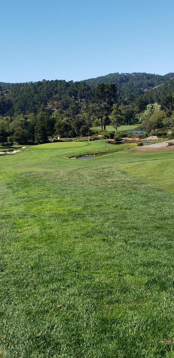 (Photo submitted by u000001340247 on 08/08/2022)