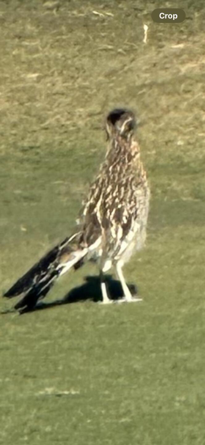 (Photo submitted by Z3IINvTA6Pc8dKwku3Nm on 12/08/2025)