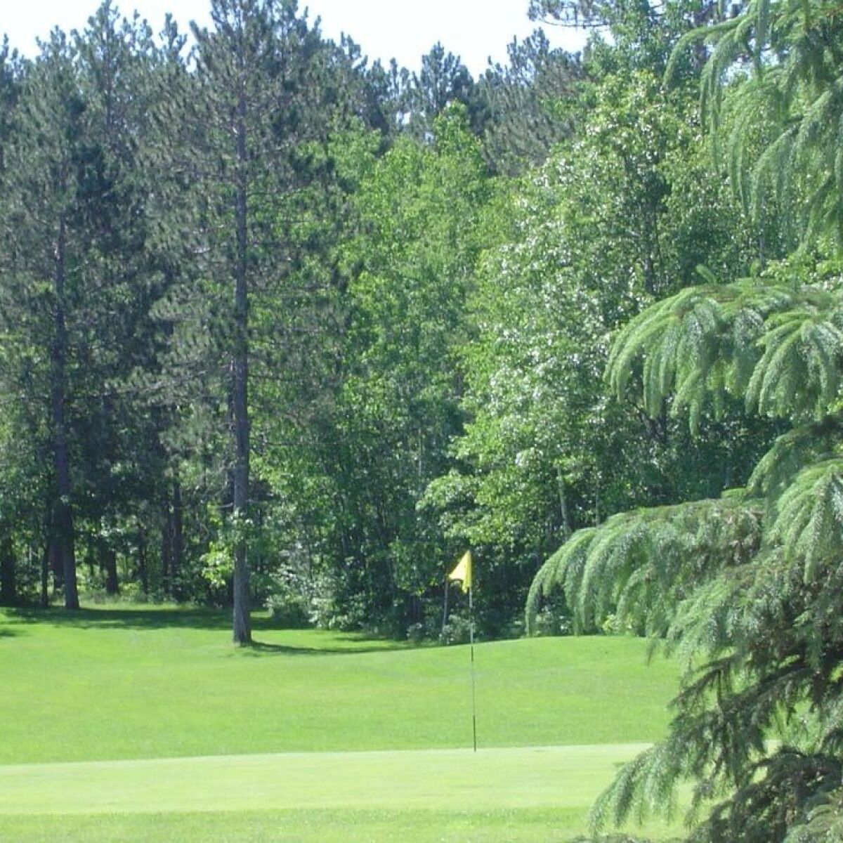 Wildwedge Golf Course in Pequot Lakes, Minnesota, USA GolfPass