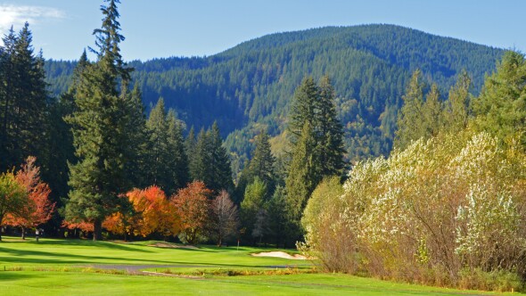 Resort at the Mountain - Thistle - no. 4