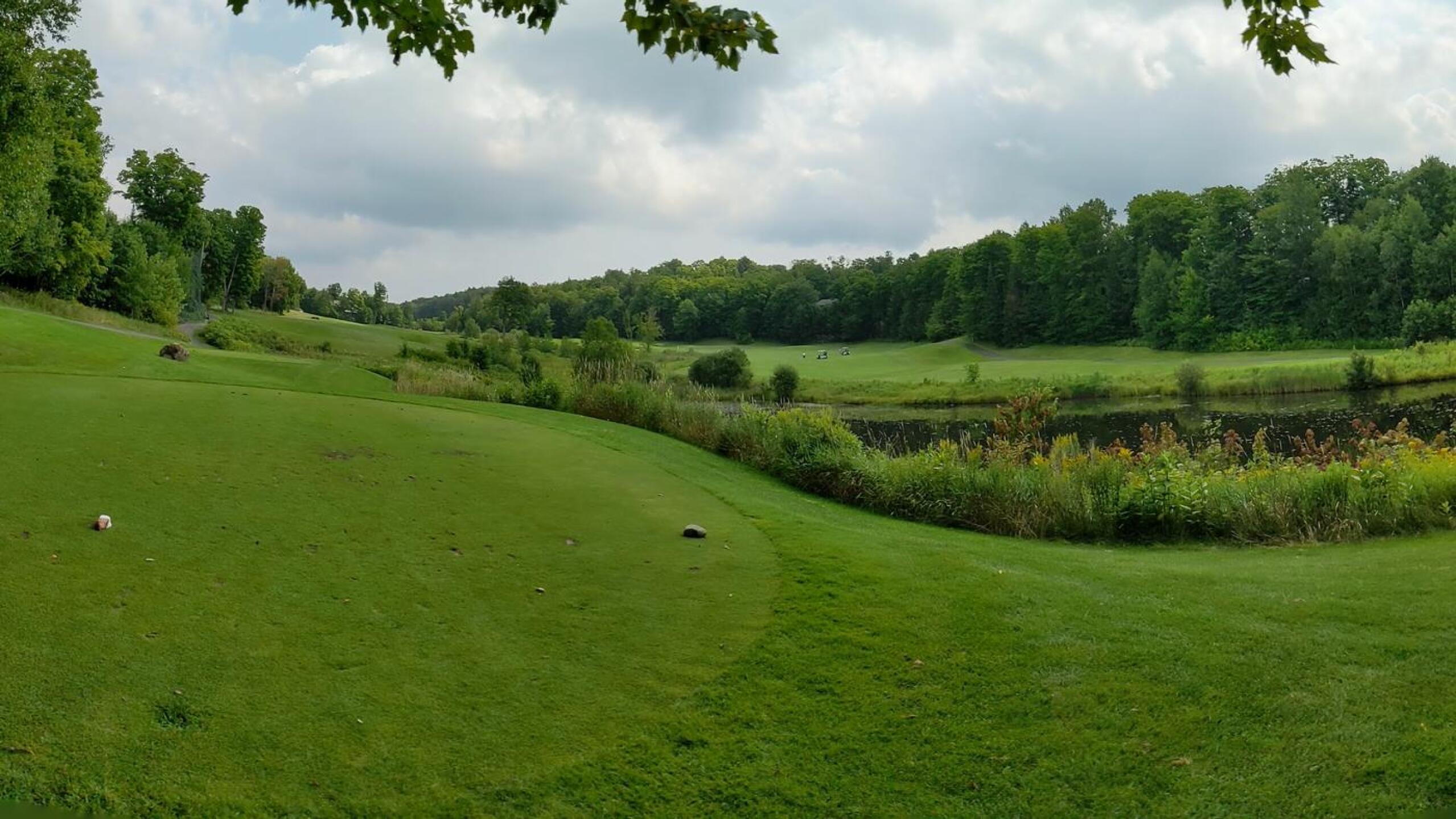 (Photo submitted by randycooray on 08/11/2021)