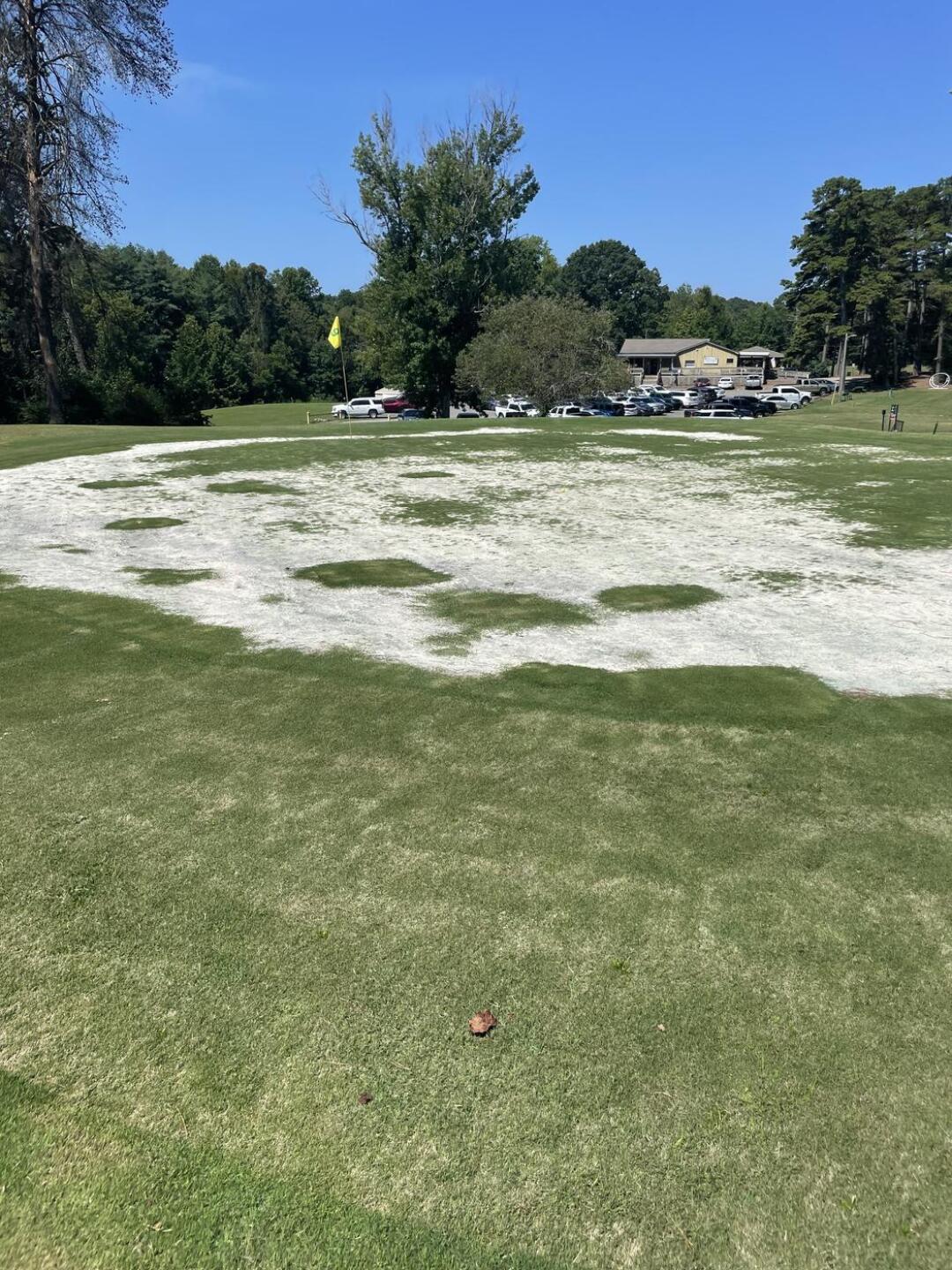 (Photo submitted by u314164343895 on 08/07/2023)