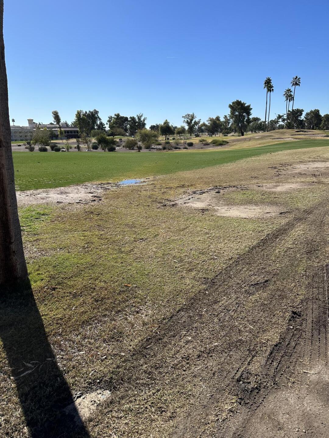 (Photo submitted by Joe1358826 on 02/11/2024)