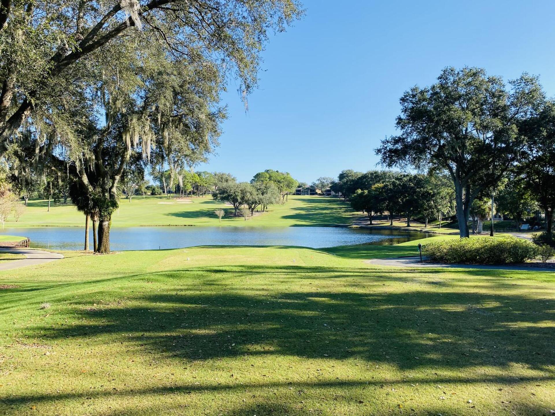 (Photo submitted by u603666333 on 12/05/2020)