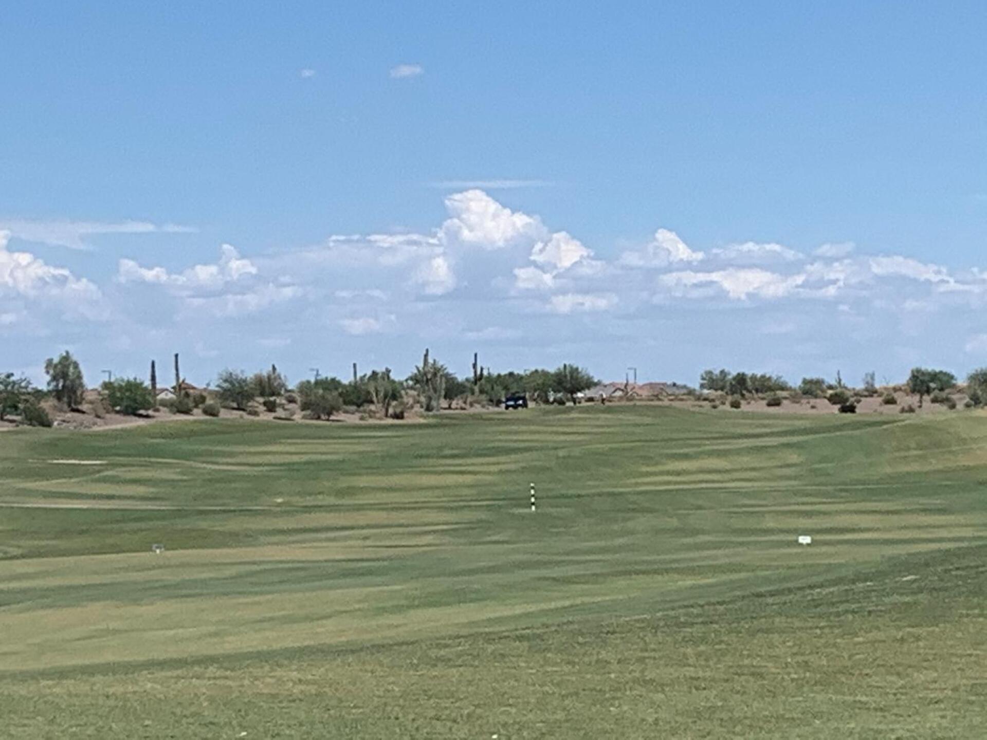 (Photo submitted by VinBrister on 07/25/2020)