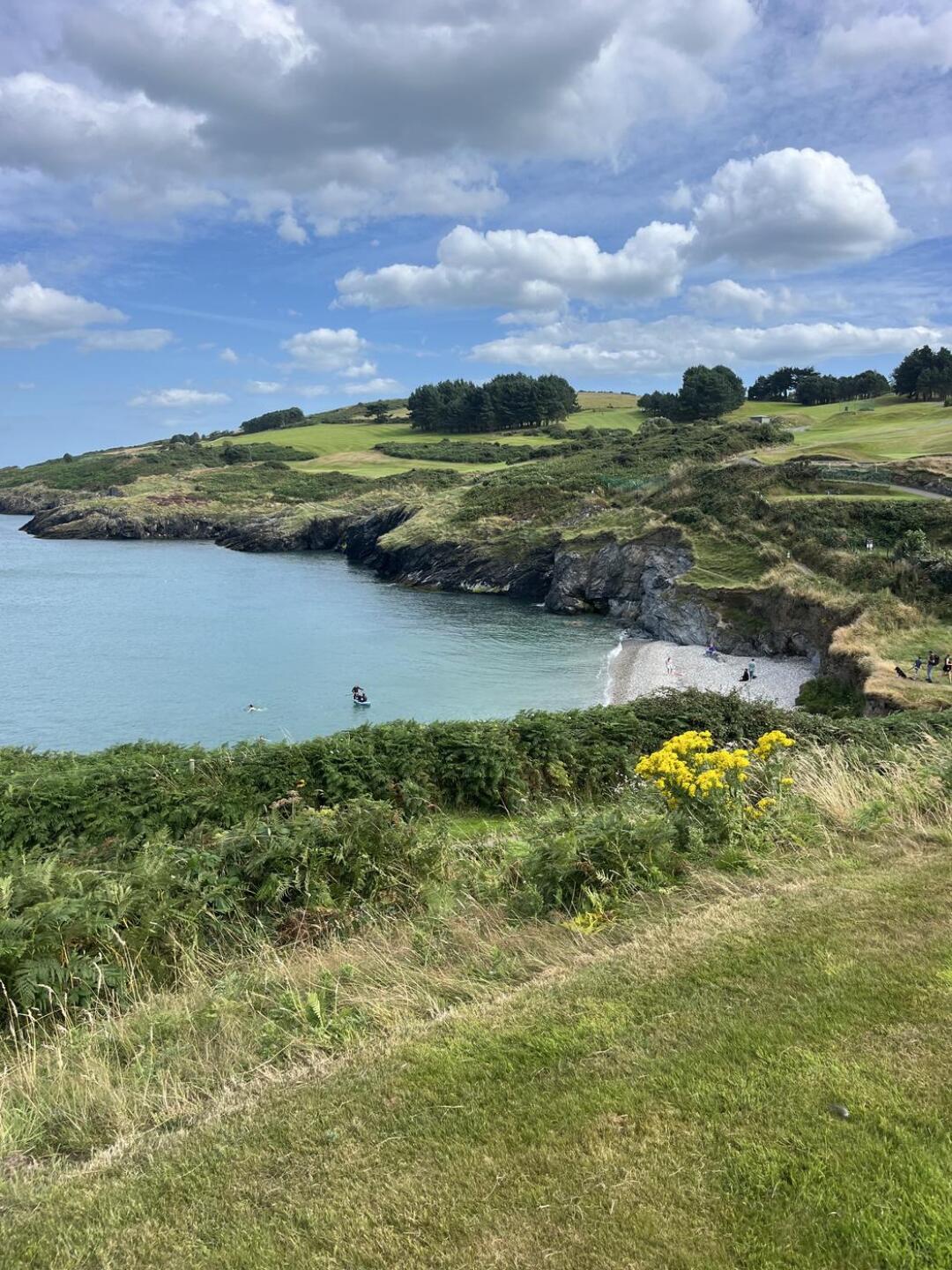 (Photo submitted by u000007718128 on 08/10/2024)