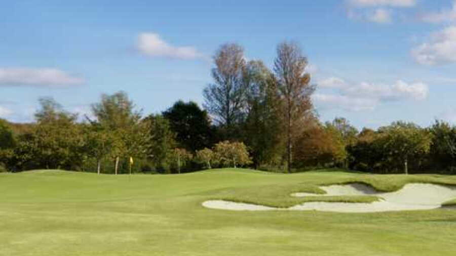 Dorset GCC - Woodland: #1