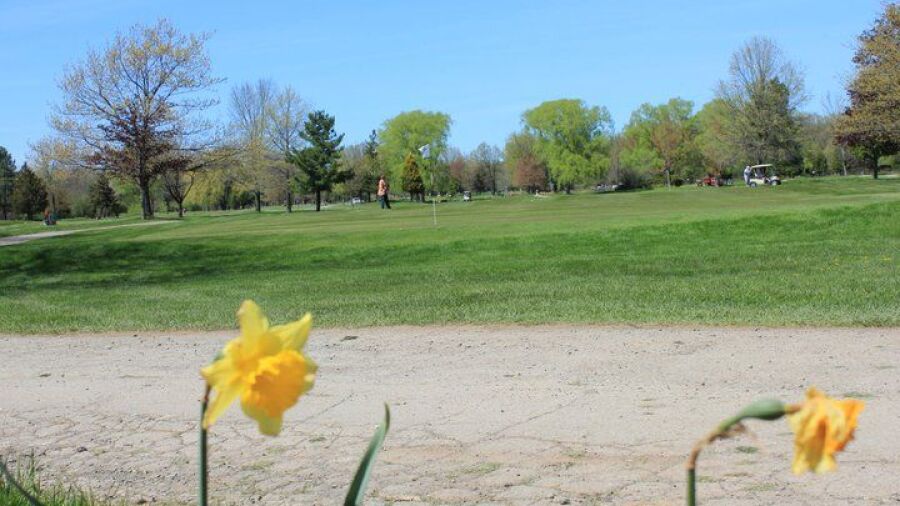 Braemar CC