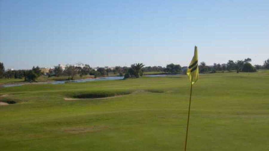 Palm Links GC: #11