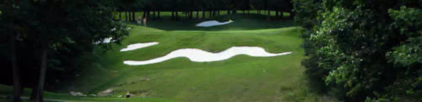 Massanutten R - Mountain Greens: #8