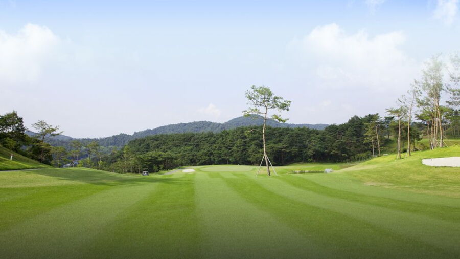Dragon Lake CC