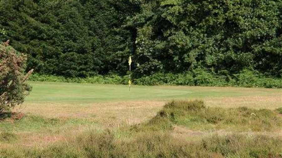 Limpsfield Chart GC: #3