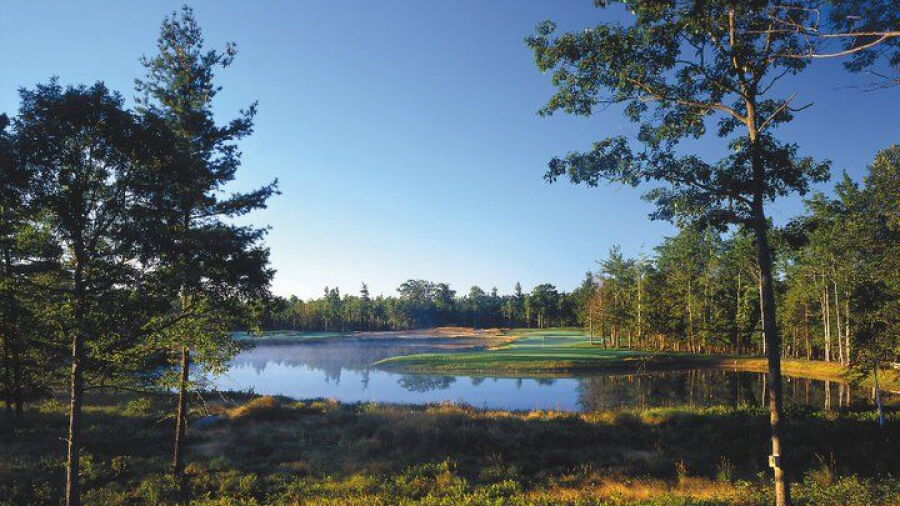 Hemlock GC: #18