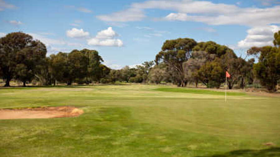 Barmera GC: #8