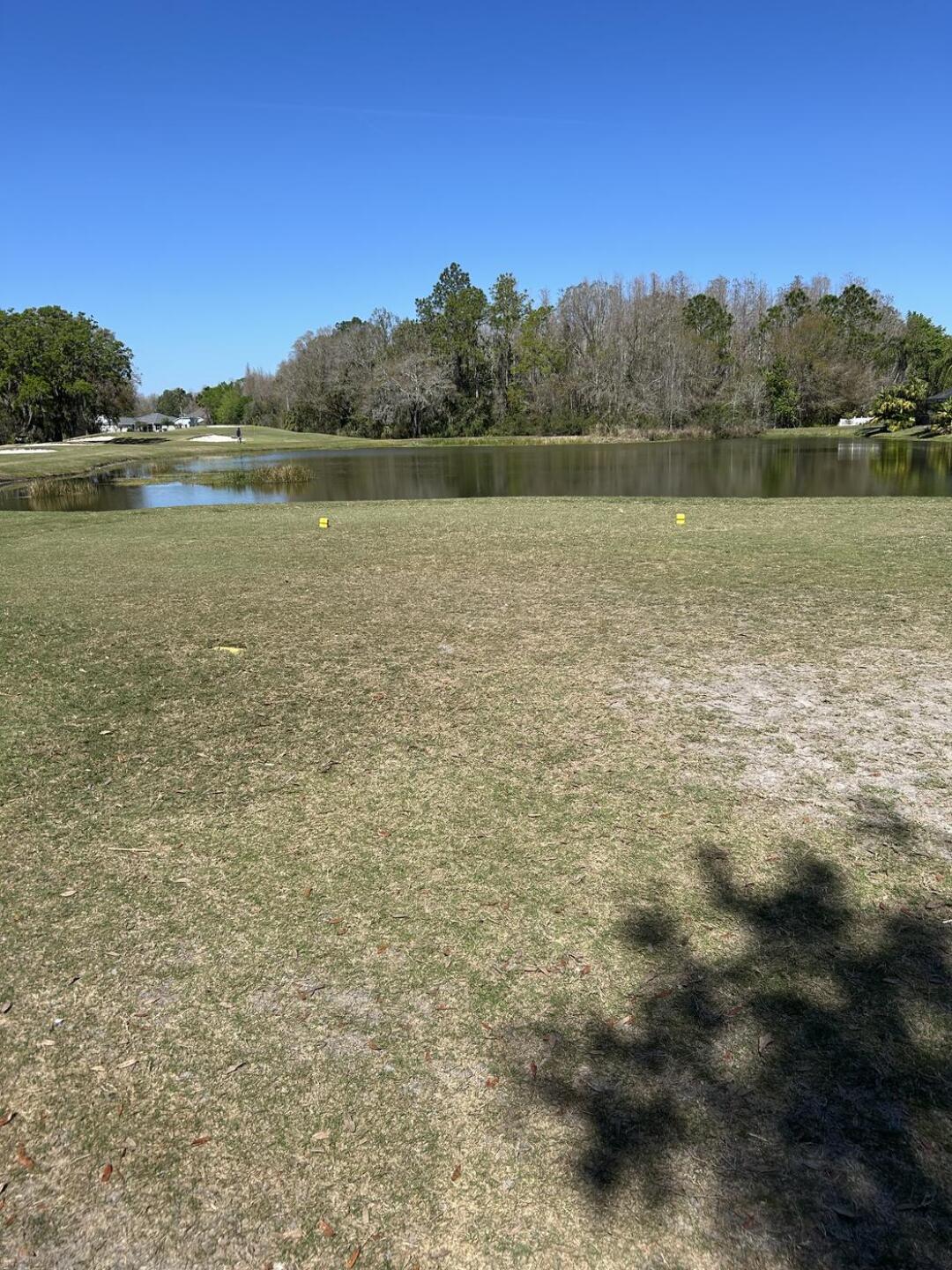 (Photo submitted by dohrenwend on 03/07/2025)