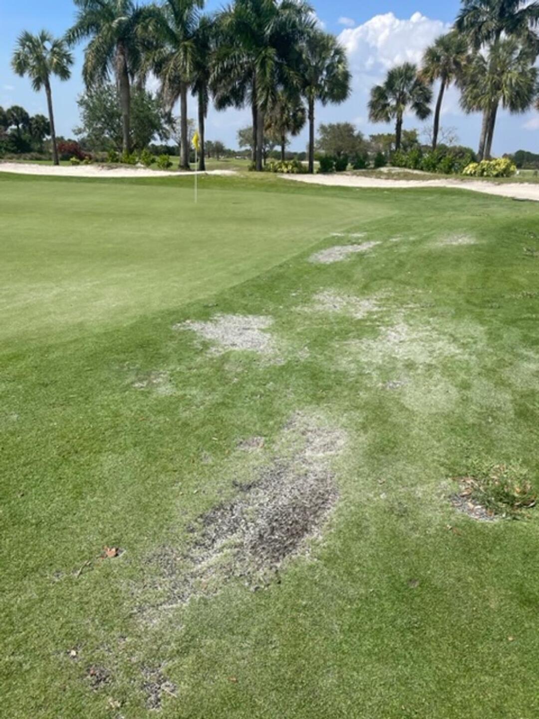 (Photo submitted by u079326129 on 03/07/2023)