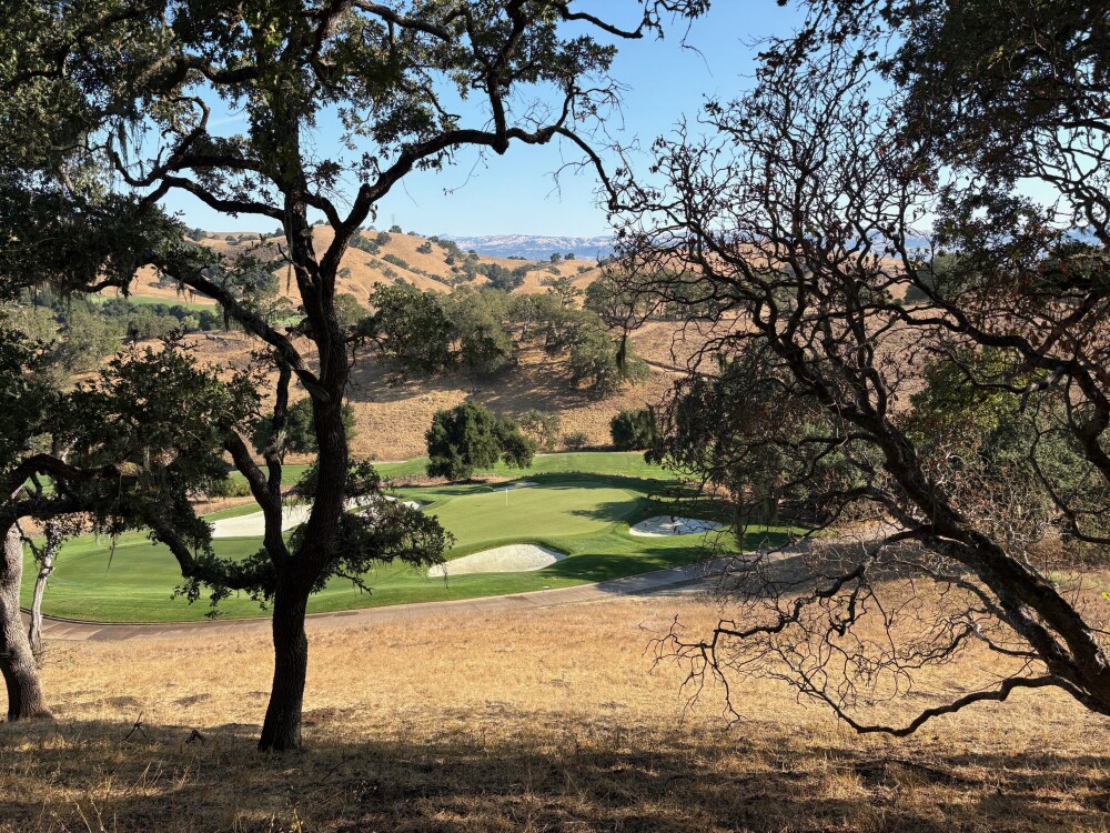 CordeValle - trees 